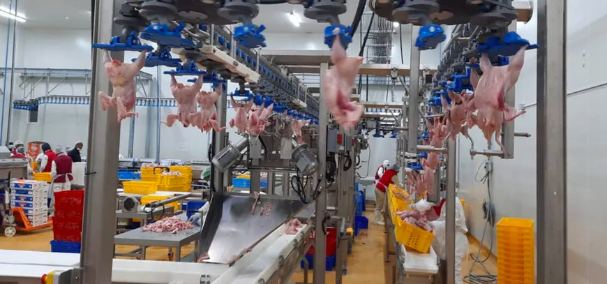 MOVING FROM WHOLE BIRD TO CUT-UP CHICKEN PARTS